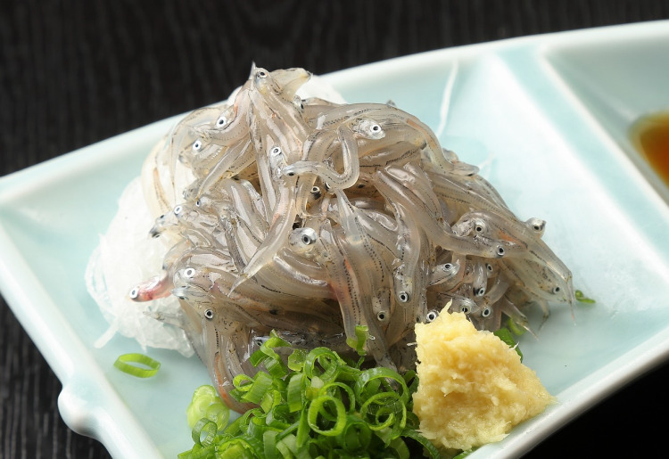 沼津港での朝取れ「生シラス」