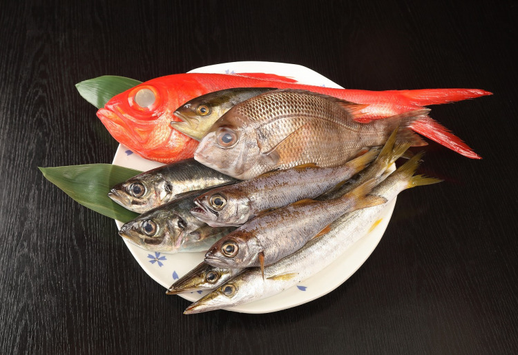 新鮮な魚を使った料理の数々